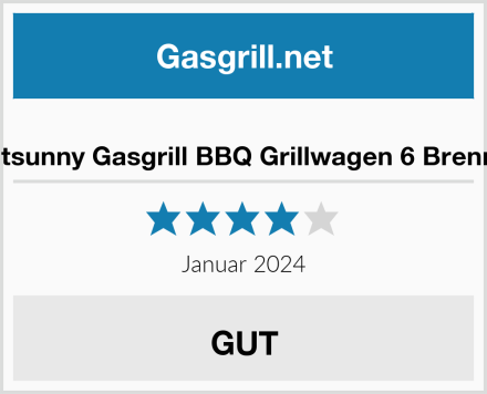  Outsunny Gasgrill BBQ Grillwagen 6 Brenner Test