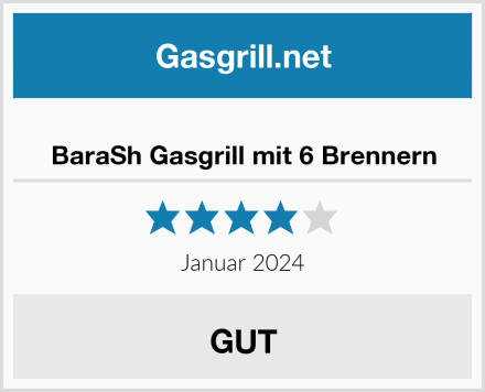  BaraSh Gasgrill mit 6 Brennern Test
