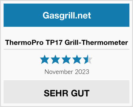  ThermoPro TP17 Grill-Thermometer Test